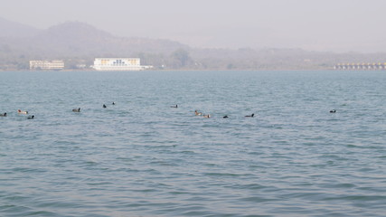 Obraz premium Water and Sky