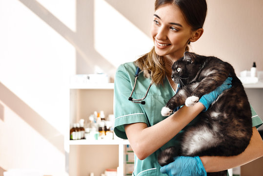 I love each of my patients! Smiling female vet holding a big black fluffy cat in her hands, smiling and looking at camera while standing in veterinary clinic