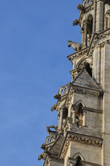 Detail, famous cathedral, Laon, France