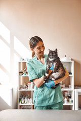 Are you scared? Pleasant young female vet holding a big black cat and smiling while looking at him...