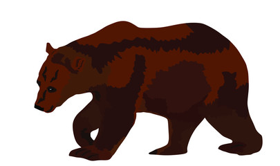 Bear vector illustration isolated on white background. Grizzly symbol. Big animal, nature wildlife concept.