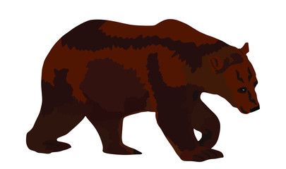 Bear vector illustration isolated on white background. Grizzly symbol. Big animal, nature wildlife concept.