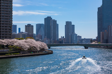 (東京都ｰ都市風景)ウォーターフロント新川沿いの風景１