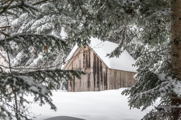 rural mountain house in snowy woods