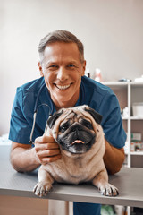 Smile! Cheerful middle aged vet holding a pug and smiling at camera while standing at veterinary...
