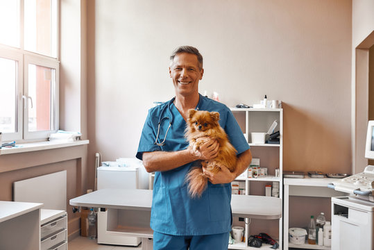 I love my patients! Cheerful male vet in work uniform is holding little cute dog and smiling at camera while standing at veterinary clinic.