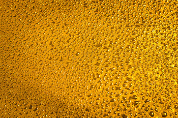 Perspiration, water droplets on the surface after rain. Drops in the backlight.Summer coolness in the water.