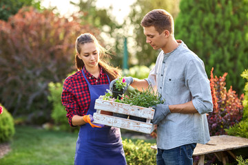 Guy and girl gardeners hold the white wooden box in hands and put there  pots with seedlings on a...