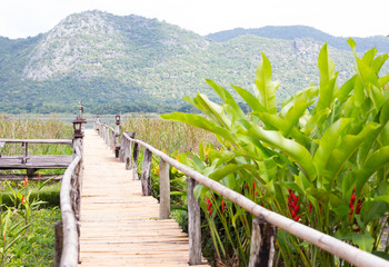 closeup bamboo way wooden bridge - 260008545