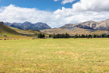 Obraz premium Landscape scenery in south New Zealand