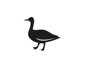 Duck logo template vector icon illustration design