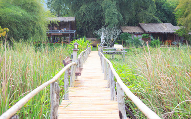 closeup bamboo way wooden bridge - 260011770