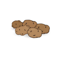 Tubers of potatoes on a white background. Vector illustration