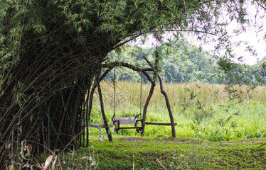 Swing under the bamboo tree - 260011904