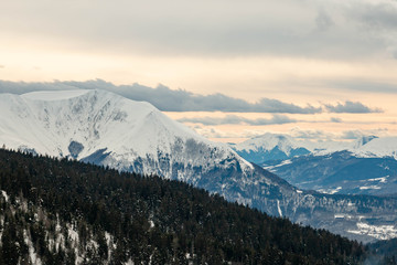 Obraz premium montage