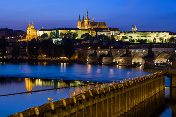 City Of Prague Evening River View