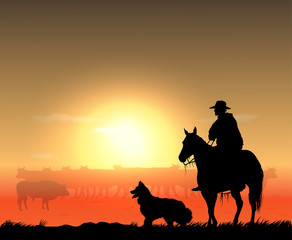 cowboy with herd