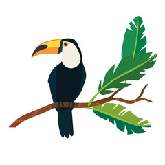 Vector illustration of a toucan sitting on a branch with leaves isolated on a white background.