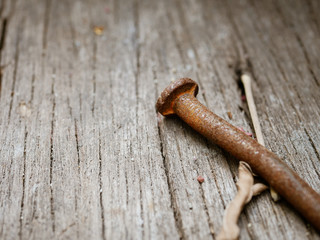 Old rusty nail on wooden plate with space on side