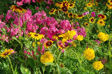 Fototapeta na wymiar Flowerbed with bright garden flowers on a summer day