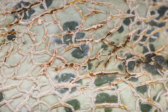 sk&oacute;ra melona