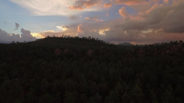 Aerial drone shot of the forest of the Basaseachi National Park at sunset in the Candamena Canyon, Chihuahua