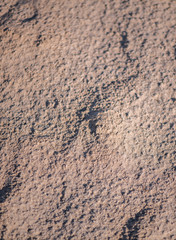 Defocus abstract background sand. Sandy beach on tropical resort