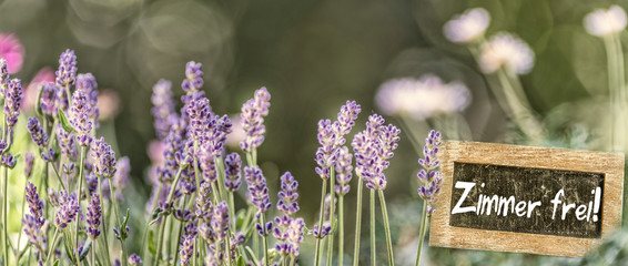 Zimmer frei! Blumenwiese mit Lavendel
