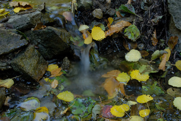 Castañar Del Tiemblo in Autumn. Avila. Spain