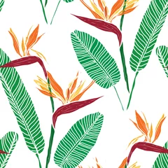 Wall murals Paradise tropical flower floral seamless pattern