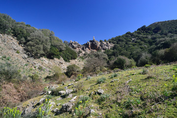 Il bosco di Tuviois