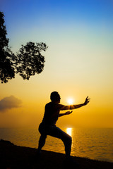 Fototapeta na wymiar Martial arts master practising Kung Fu under sunrise at seaside