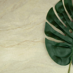 Top view of Monstera leaf on empty brown matt marble for use as background or wallpaper, Copy space 