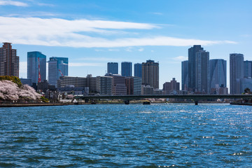 (東京都ｰ都市風景)ウォーターフロント新川沿いの風景６