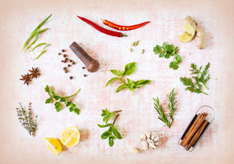 Herbs and spices - 260024760