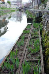 滋賀県近江八幡市の八幡堀の風景