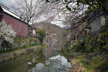 滋賀県近江八幡市の八幡堀の風景