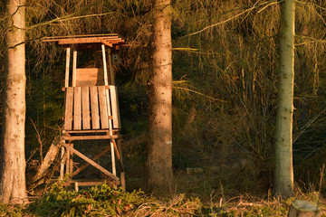 wooden hidden cottage for hunting in the forest meadow