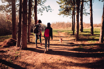Mother and daughter hiking with dog on the pine forest trail