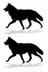 silhouette of a wolf, vector draw
