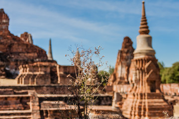 Ayutthaya Historical Park, Thailand