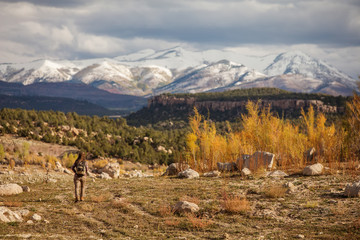 The girl travels to America in the autumn