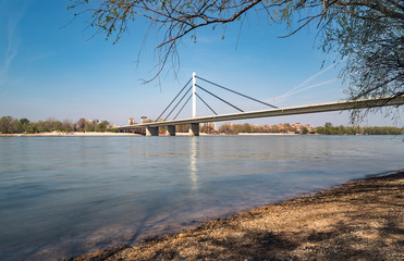 View of Liberty bridge in Novi Sad, Serbia with Danube river and city beach Strand in the early springtime with blue water and sky above from Kamenicki park side