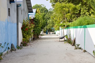 Obraz premium Maldivian street with plants and trees (Ari Atoll, Maldives)