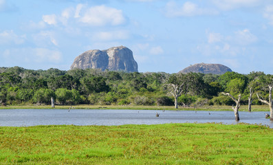 Impression of Sri Lanka