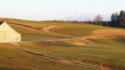 Fototapeta premium Frisch gedüngte Viehweiden im hügeligen Alpenvorland, Allgäu, Bayern