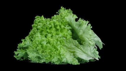 Fresh green lettuce leaves rotate on an isolated black background, ingredients for gourmet dishes,...