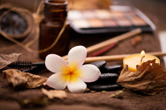 Professional makeup brushes and tools, natural make-up products set on white table with pomelia flower