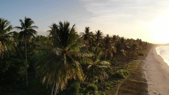Overview of sea and long beach at sunset, San Vincente, Philippines