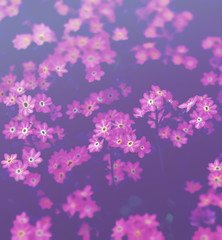 abstract floral background